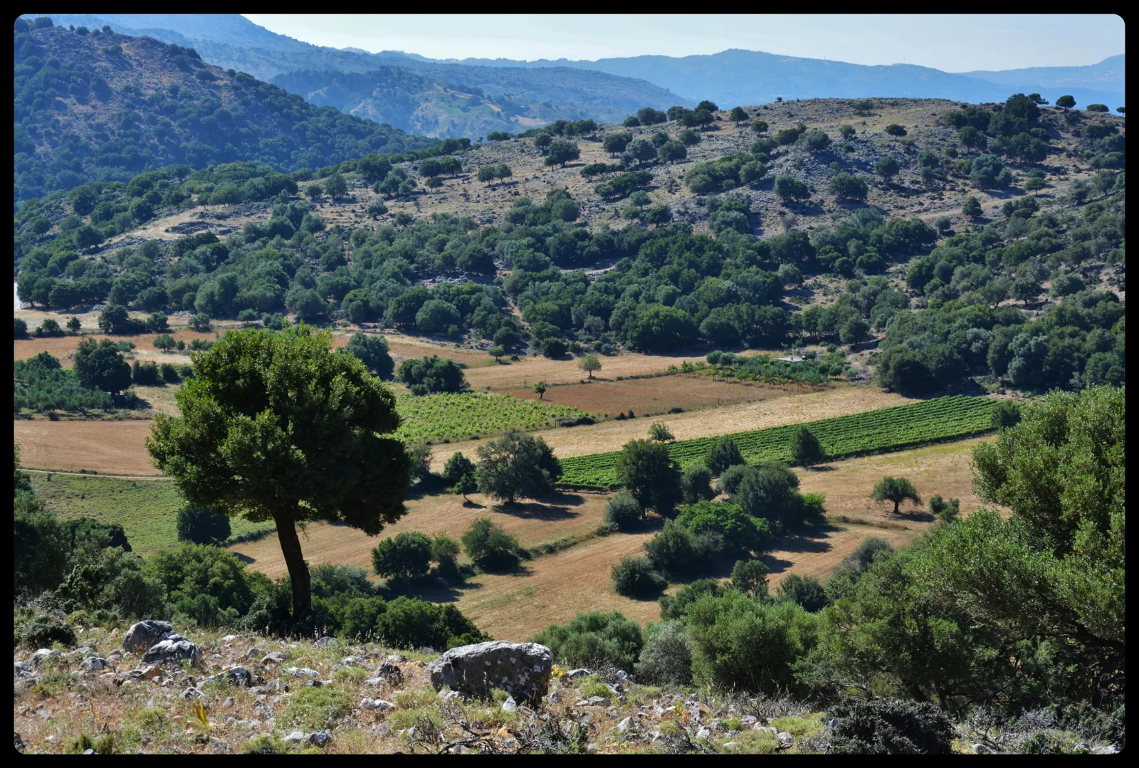 Photographie 39 du reportage « Carte postale de Crète », par Barbara